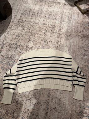 Free People Cream and Black Striped Crewneck Sweater